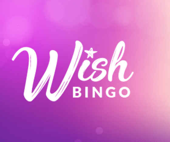 Does Bingo Wish Really Pay in 2024